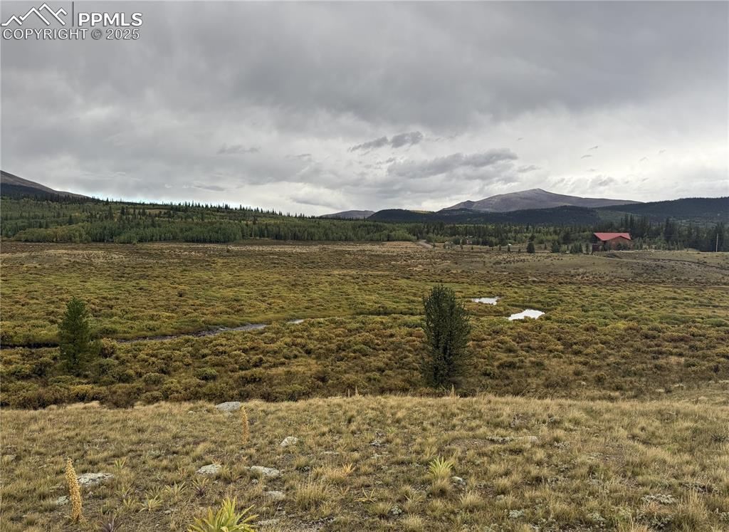 345 High River Ct., Fairplay, CO 80440