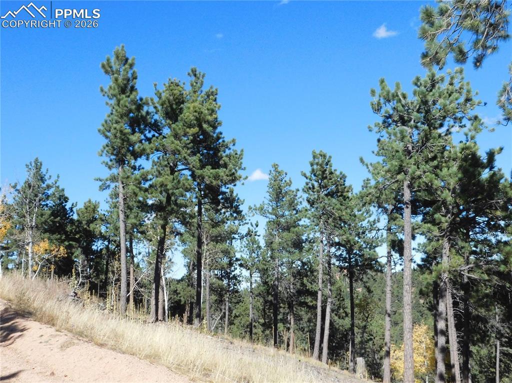 13886 Boulder Ln., Larkspur, CO 80118