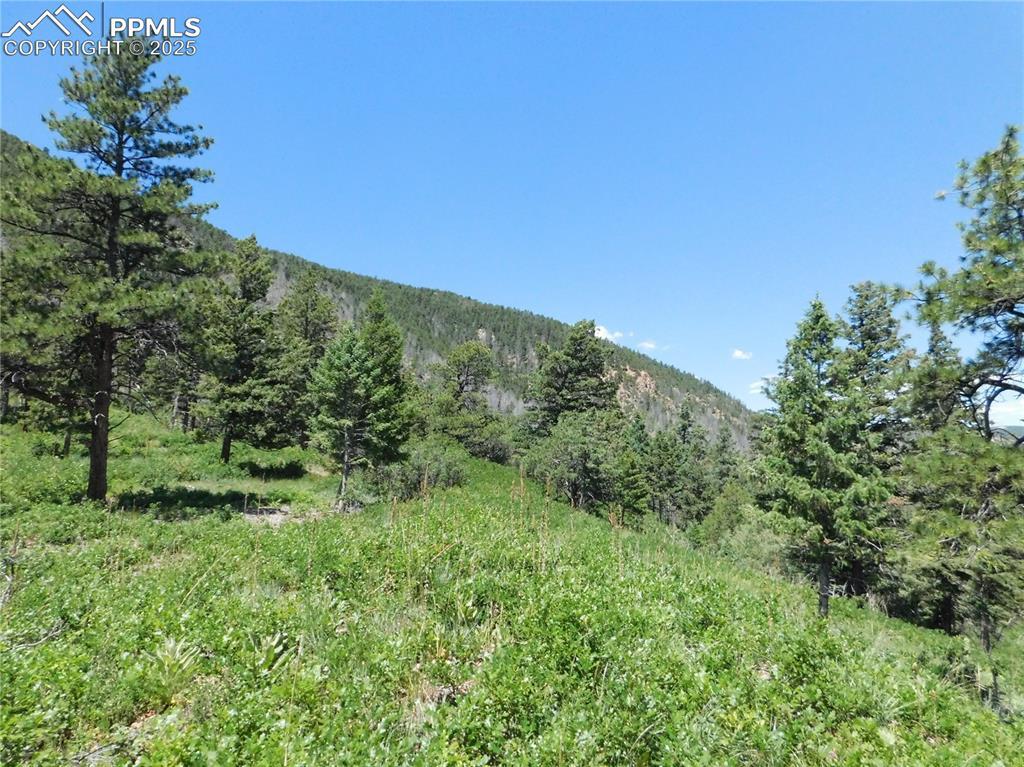 5900 Pawnee Rd., Larkspur, CO 80118