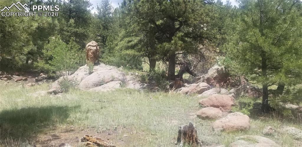 61 Canyon Dr., Florissant, CO 80816