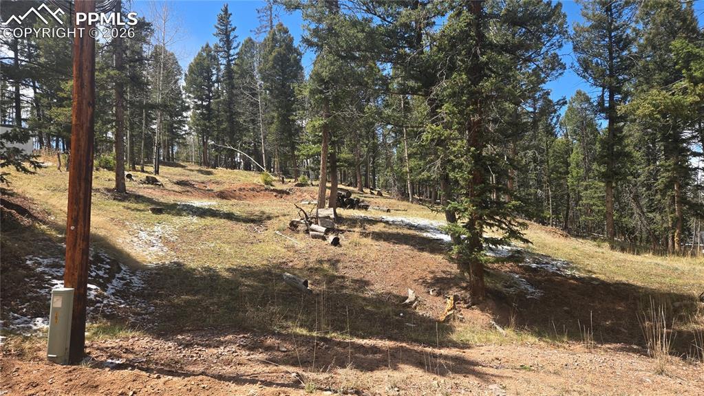 151 Mt Elbert Rd., Florissant, CO 80816