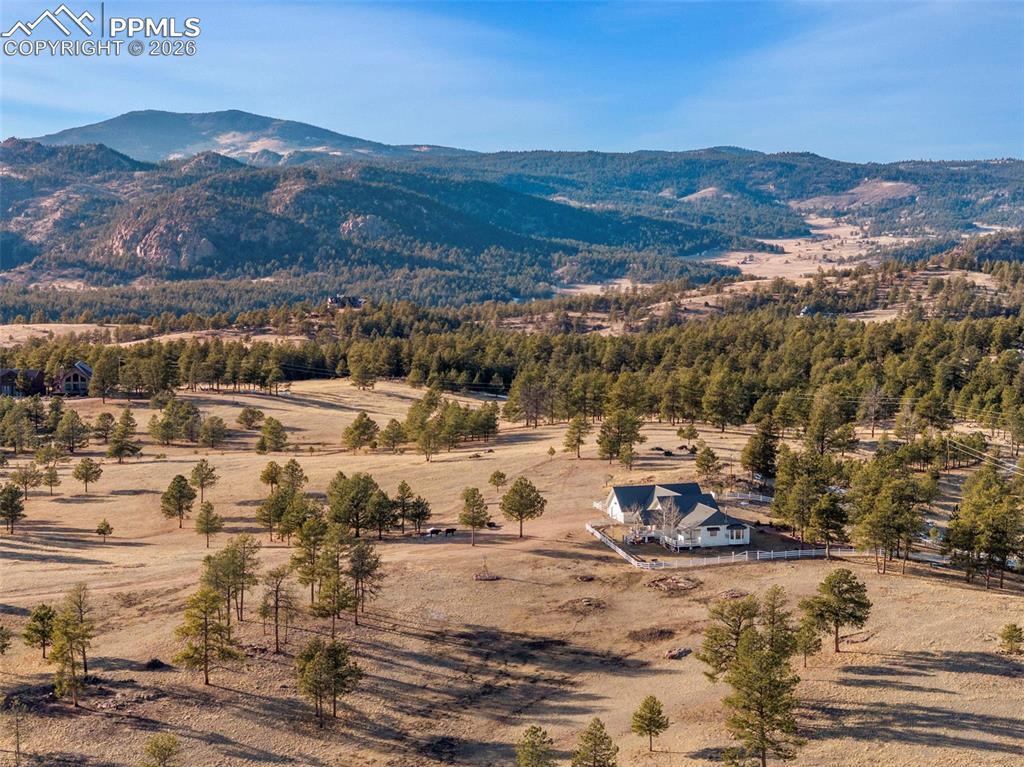 537 Chapparal Tr., Florissant, CO 80816