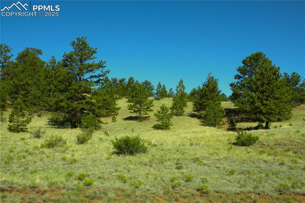 Hill Rd., Hartsel, CO 80449