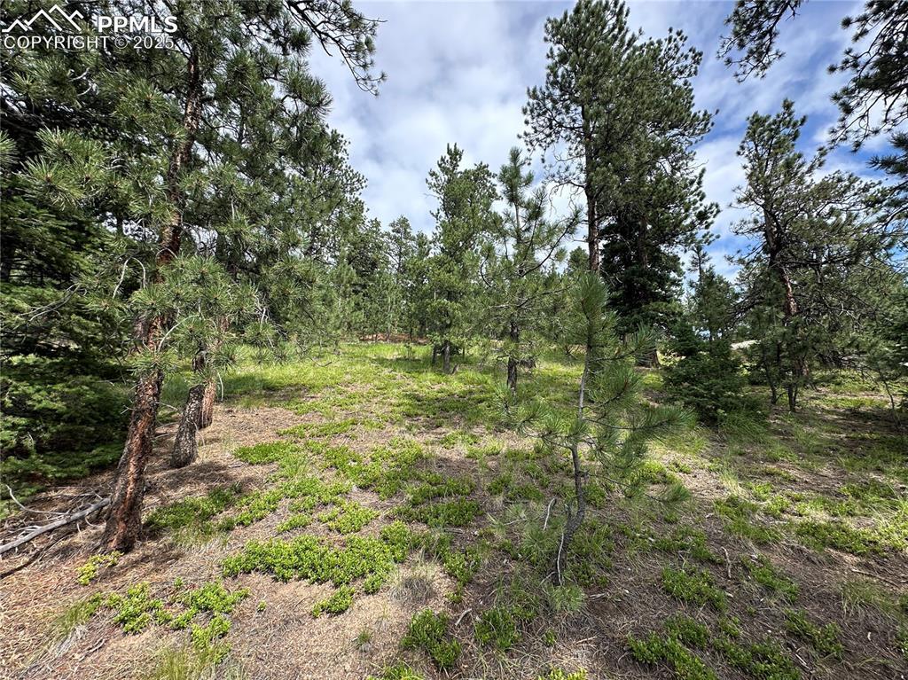 116 Happy Valley Rd., Manitou Springs, CO 80829