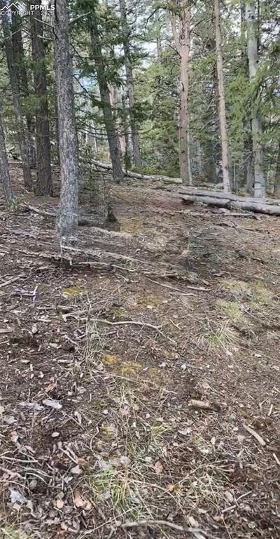 Glenwood Ln., Woodland Park, CO 80863