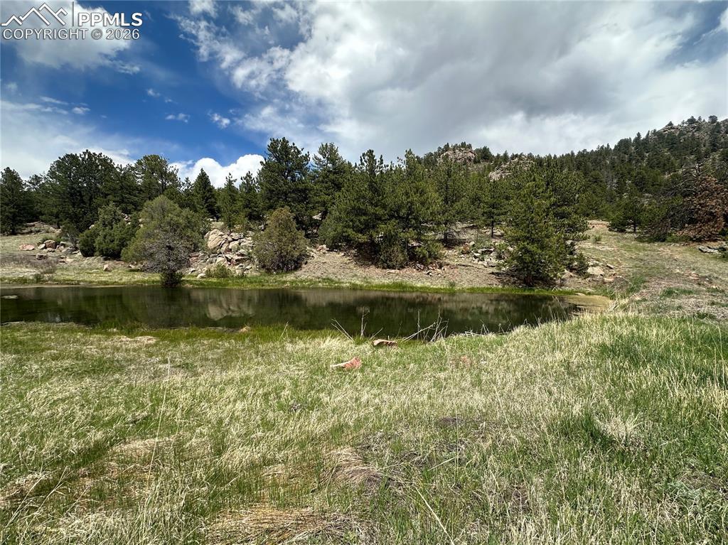 2332 County Rd., Florissant, CO 80816