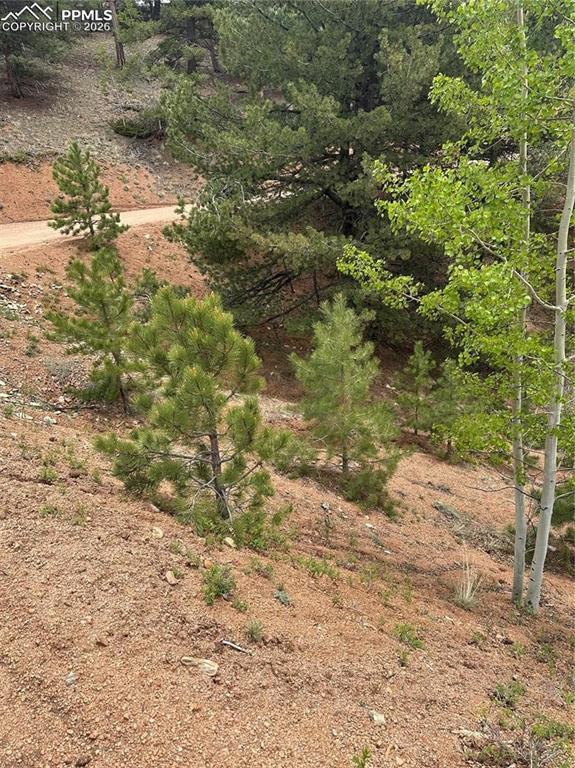 1600 Pikes Peak Dr., Divide, CO 80814