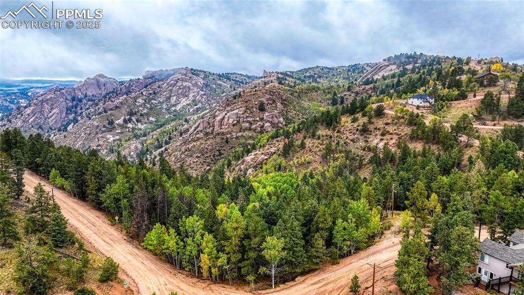 599 Dandy Jim Dr., Cripple Creek, CO 80813