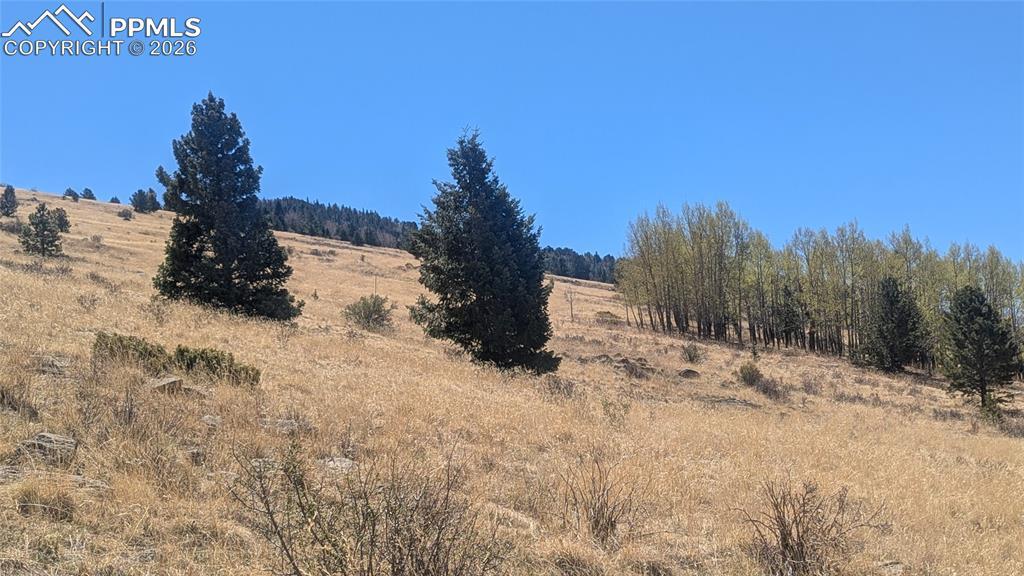 1960 Troy Dr., Cripple Creek, CO 80813