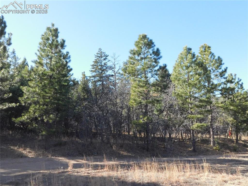 6294 Troon Ct., Larkspur, CO 80118
