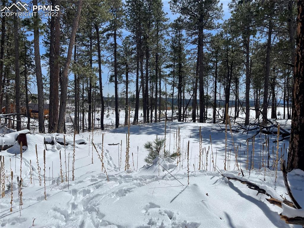 6225 Vessey Rd., Colorado Springs, CO 80908