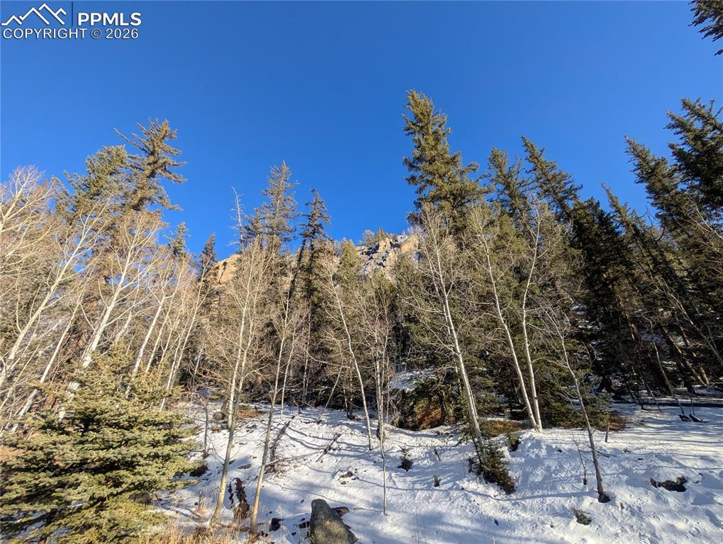 386 Brook Dr., Lake George, CO 80827