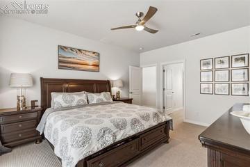 1238 Foothills Farm Way, Colorado Springs, CO 80921