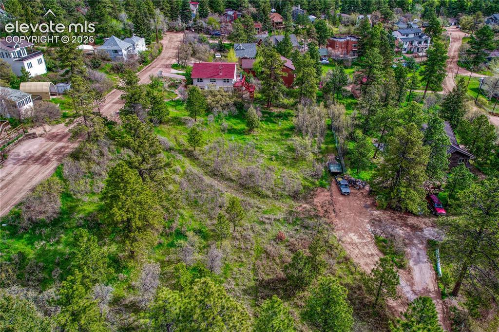Buena Vista Ave., Palmer Lake, CO 80133