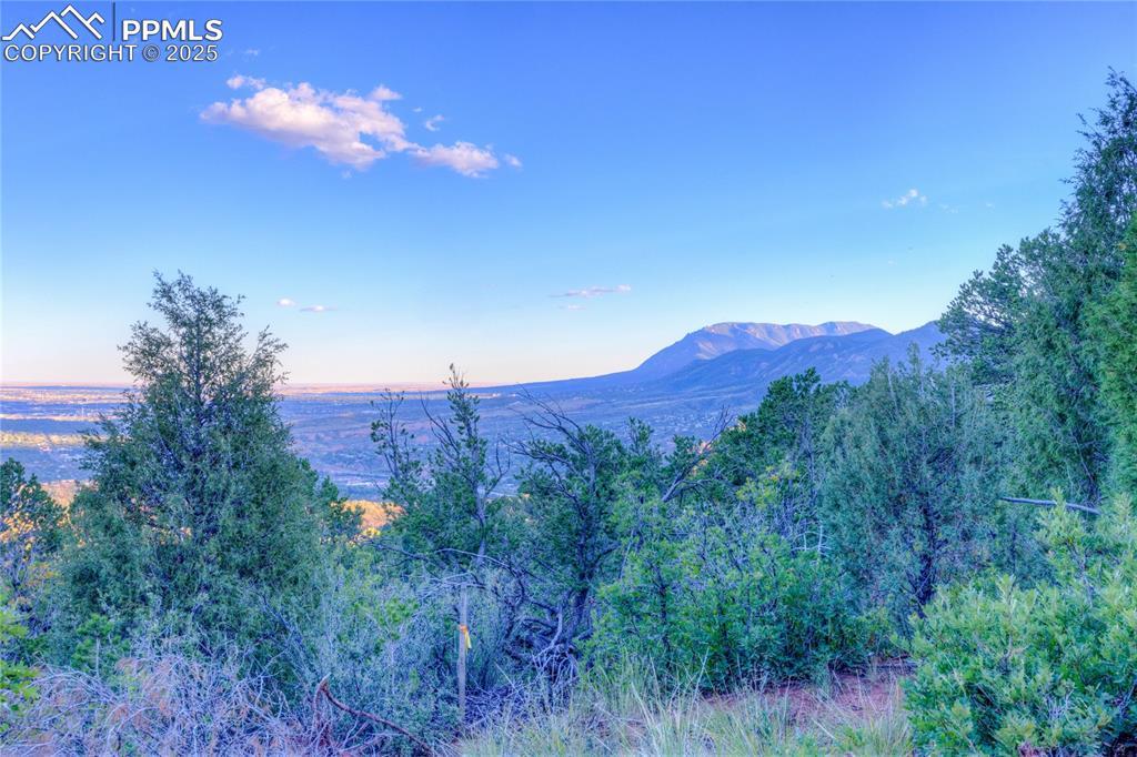 3135 Angel Ter., Colorado Springs, CO 80904