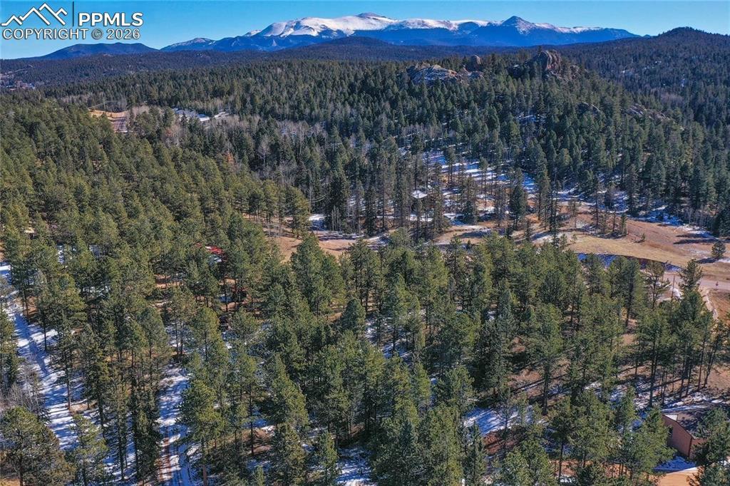 683 Kingston Dr., Florissant, CO 80816