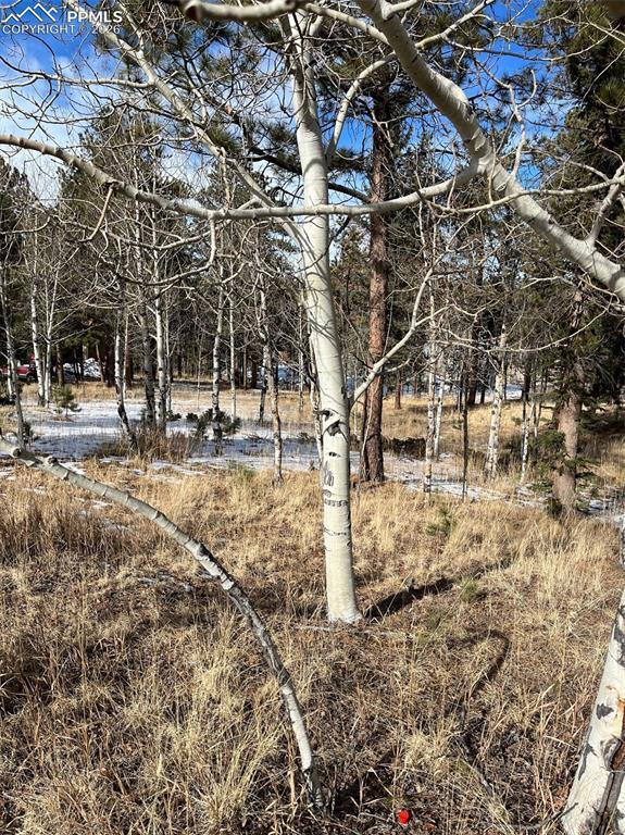 630 Pembrook Dr., Woodland Park, CO 80863