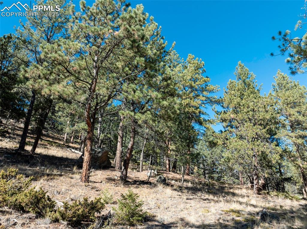 205 Stonehenge Dr., Florissant, CO 80816