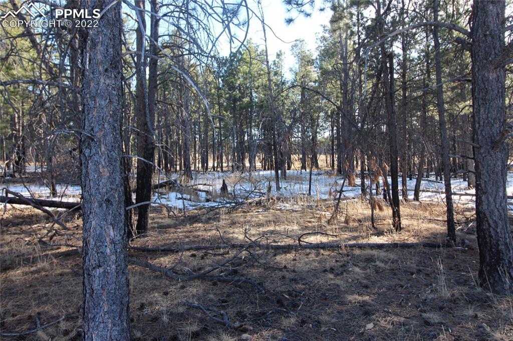 00 Goodson Rd., Colorado Springs, CO 80908