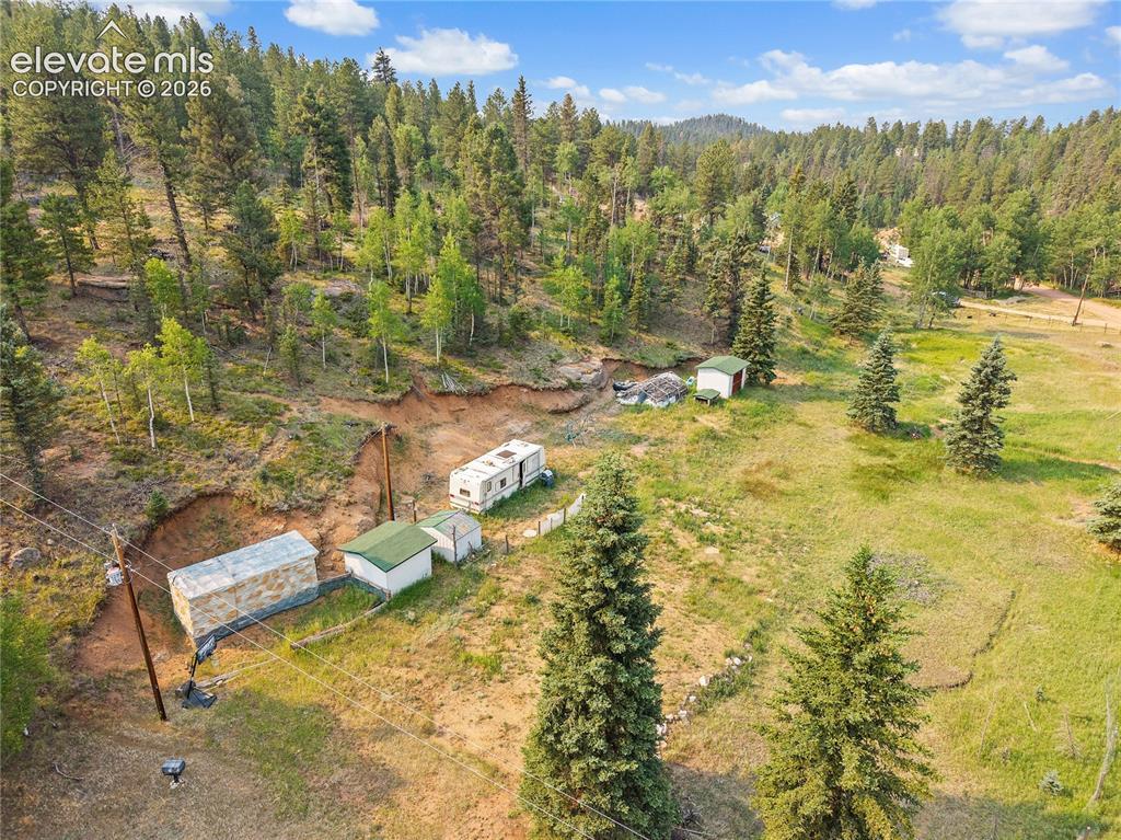 974 W Bison Creek Tr., Divide, CO 80814