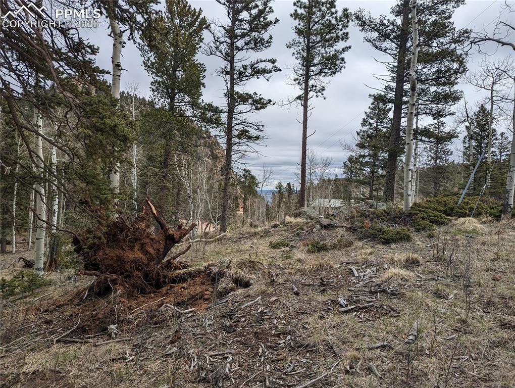 146 Waterfall Loop, Manitou Springs, CO 80829