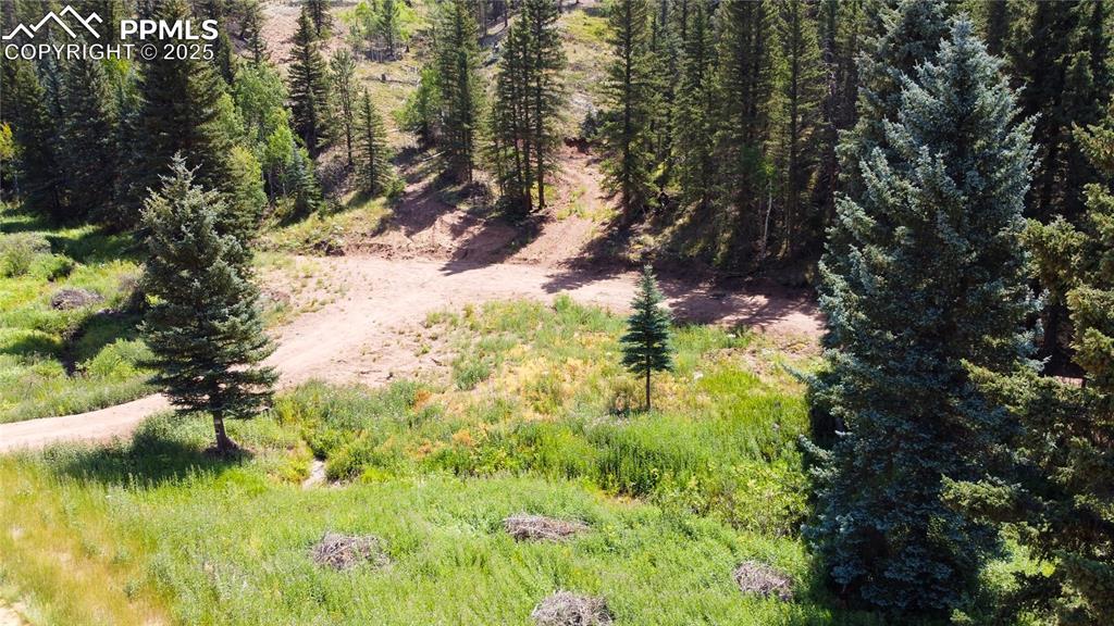 1570 Pathfinder Rd., Florissant, CO 80816