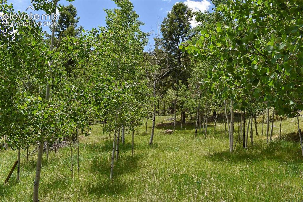 281 Deer Ln., Guffey, CO 80820