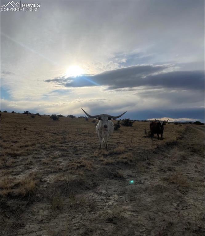 Green Mountain Rd., Model, CO 81059