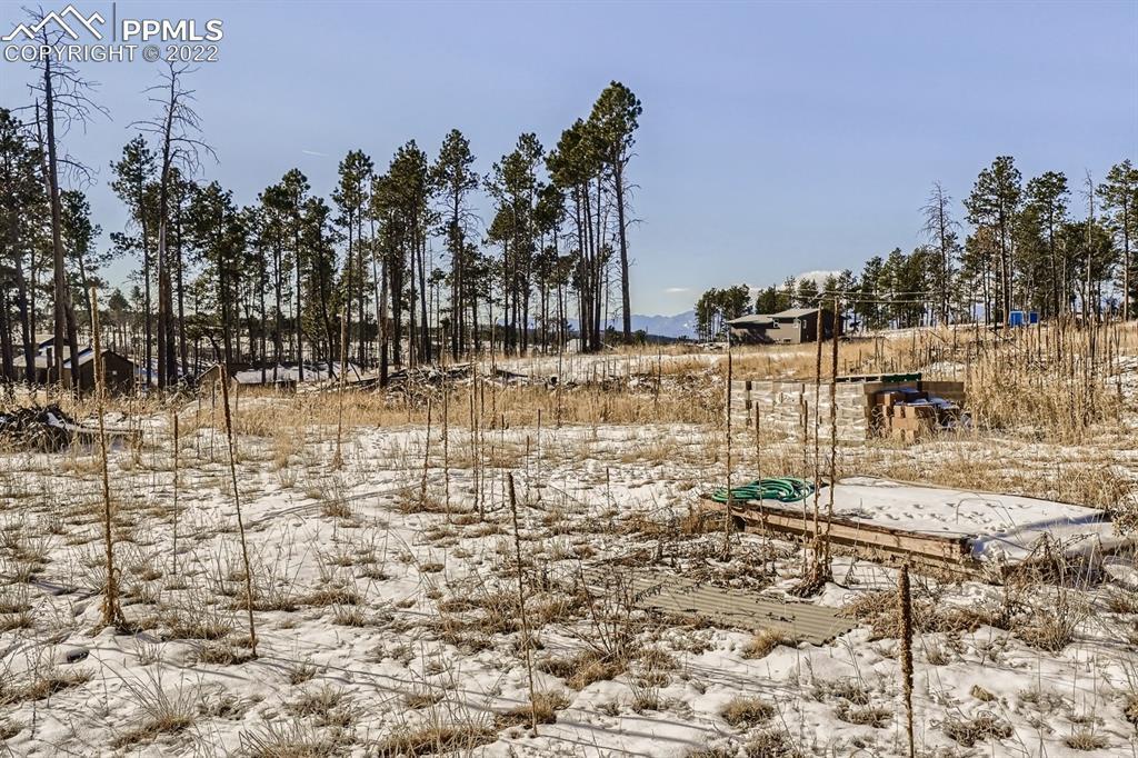 13345 Pine Dr., Colorado Springs, CO 80908