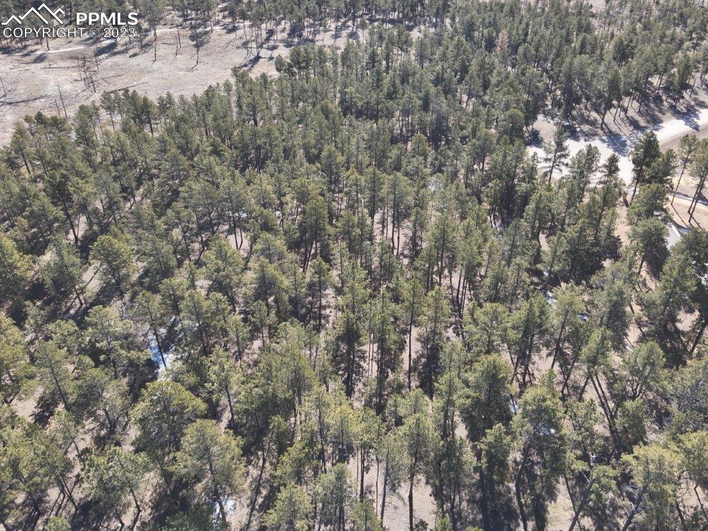 5840 Saxton Hollow Rd., Colorado Springs, CO 80908