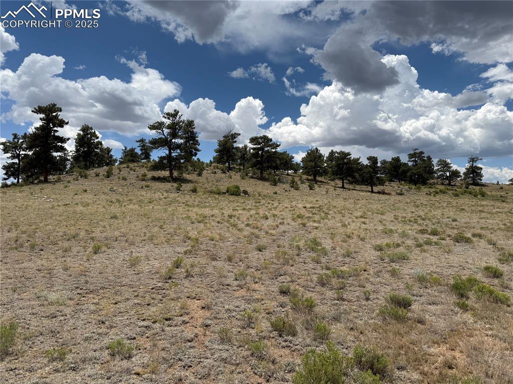 Hohokan Tr., Hartsel, CO 80449