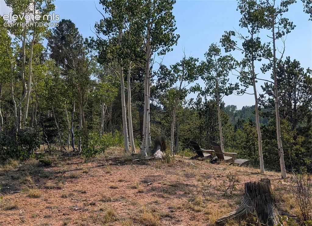 Fairview Dr., Cripple Creek, CO 80813
