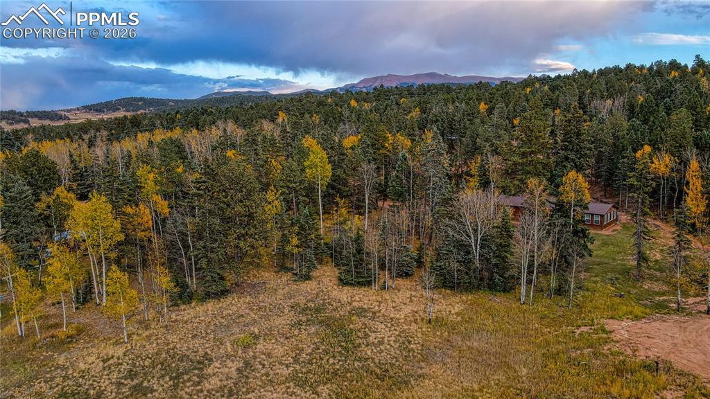 166 Denwood Dr., Florissant, CO 80816