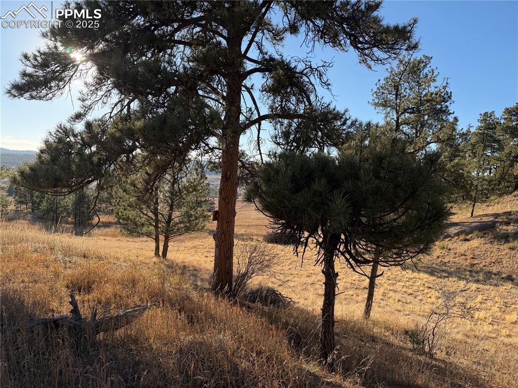 71 Elkhorn Cir., Florissant, CO 80816