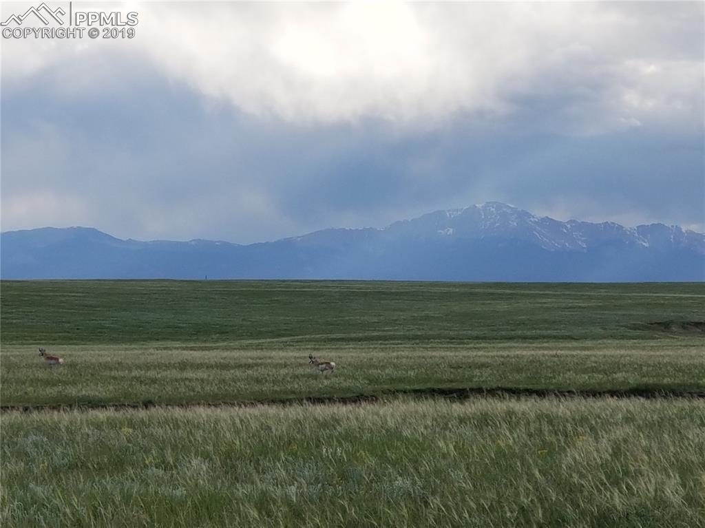 8479 Buckskin Ranch View, Peyton, CO 80831