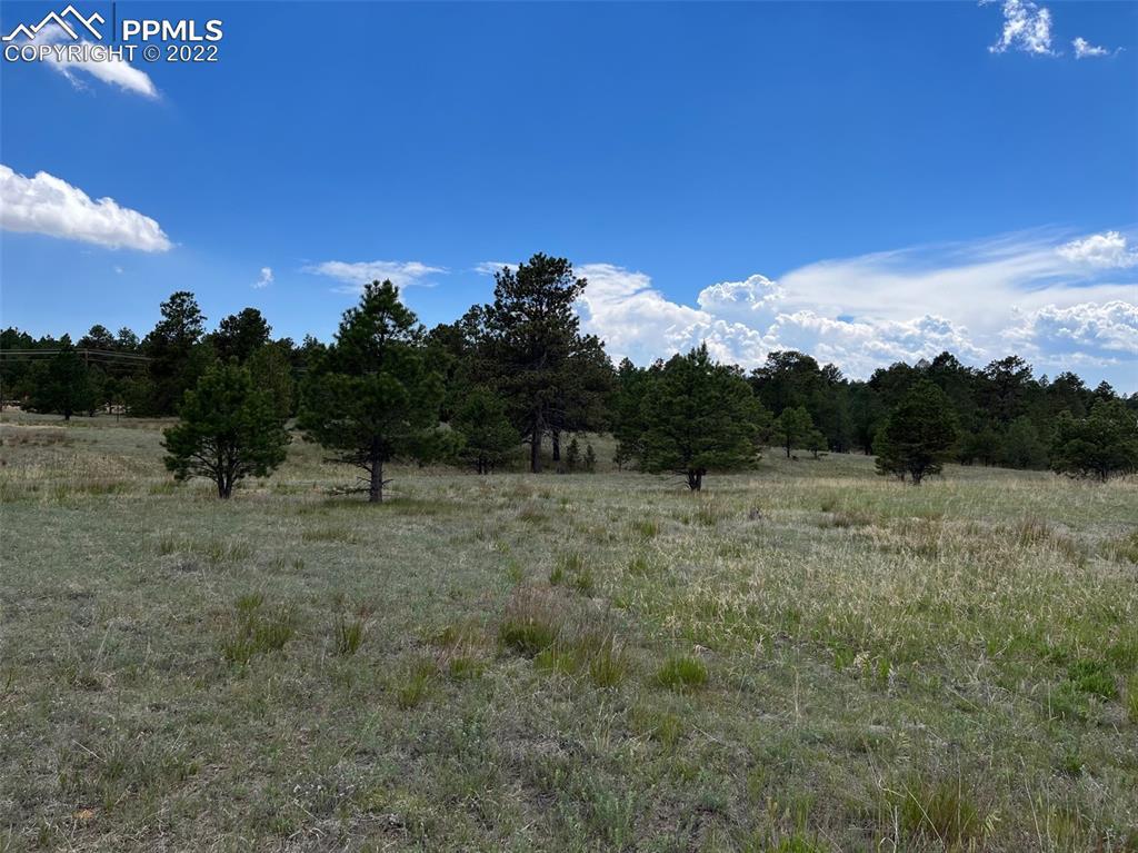 11713 Flap Jack Ln., Colorado Springs, CO 80908