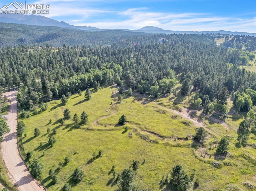 0000 S Forty Rd., Woodland Park, CO 80863