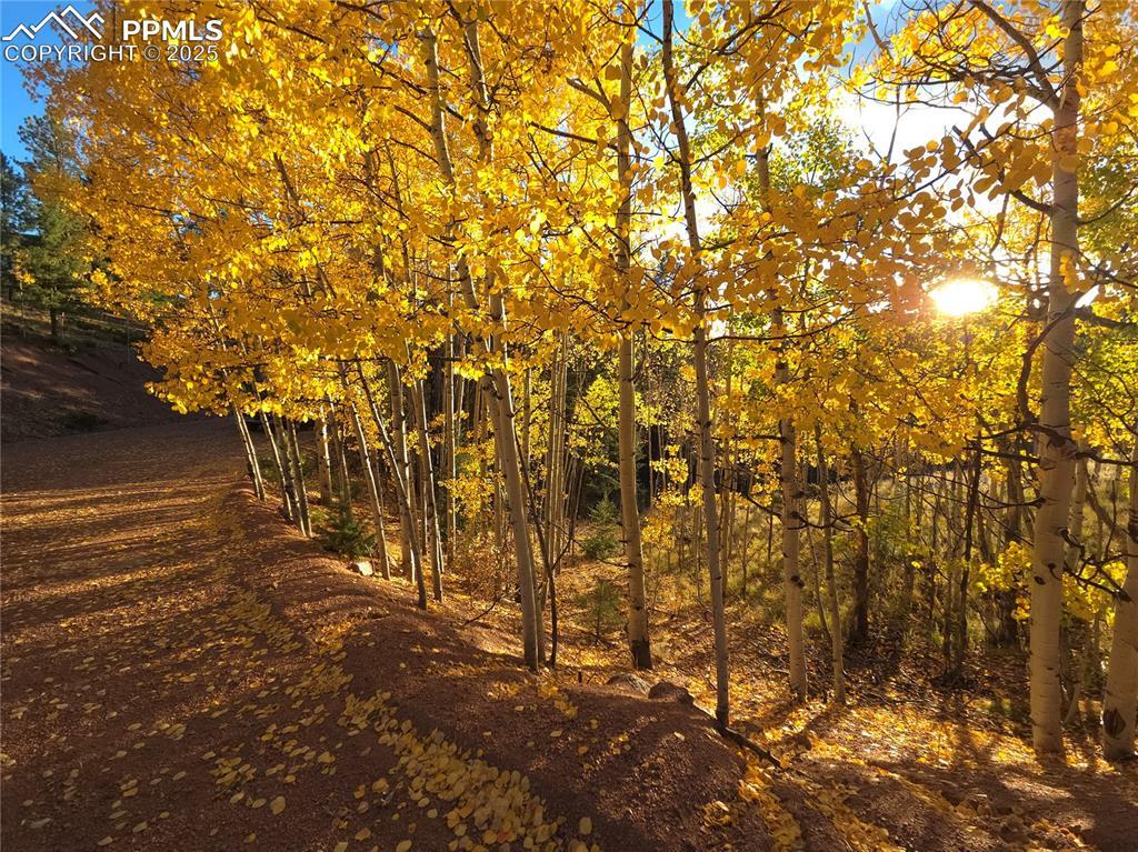 899 Little Topsey Dr., Cripple Creek, CO 80813