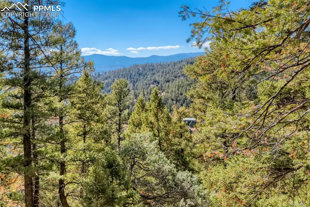 Elsie Rd., Conifer, CO 80433