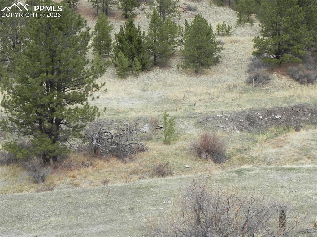 521 Monarch Dr., Cripple Creek, CO 80813