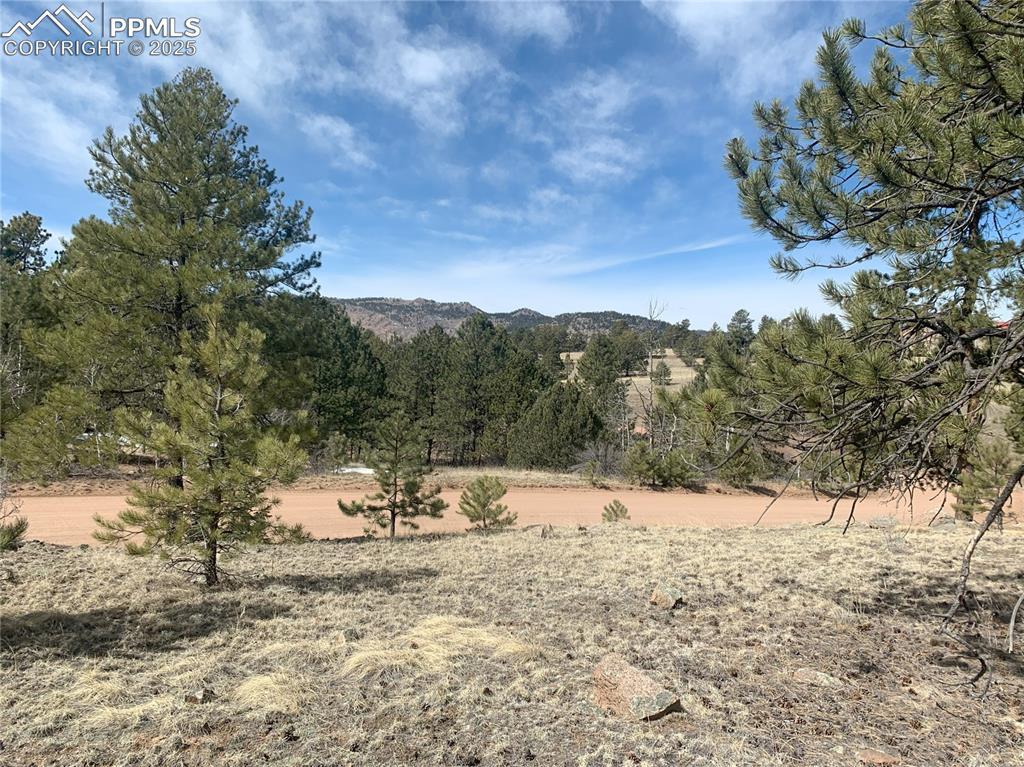 173 Crescent Dr., Florissant, CO 80816