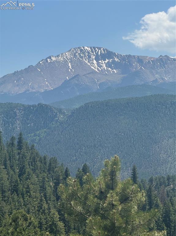 8743 High Mark Point, Woodland Park, CO 80863
