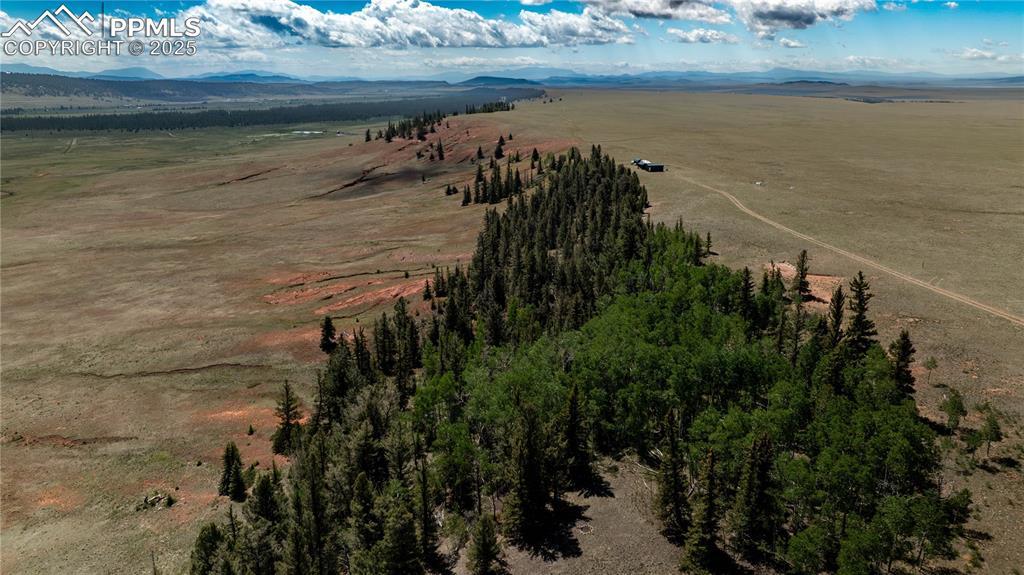4319 Meier Ridge Tr., Fairplay, CO 80440