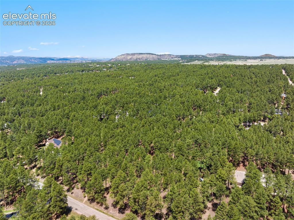 140 E Stirrup Tr., Monument, CO 80132