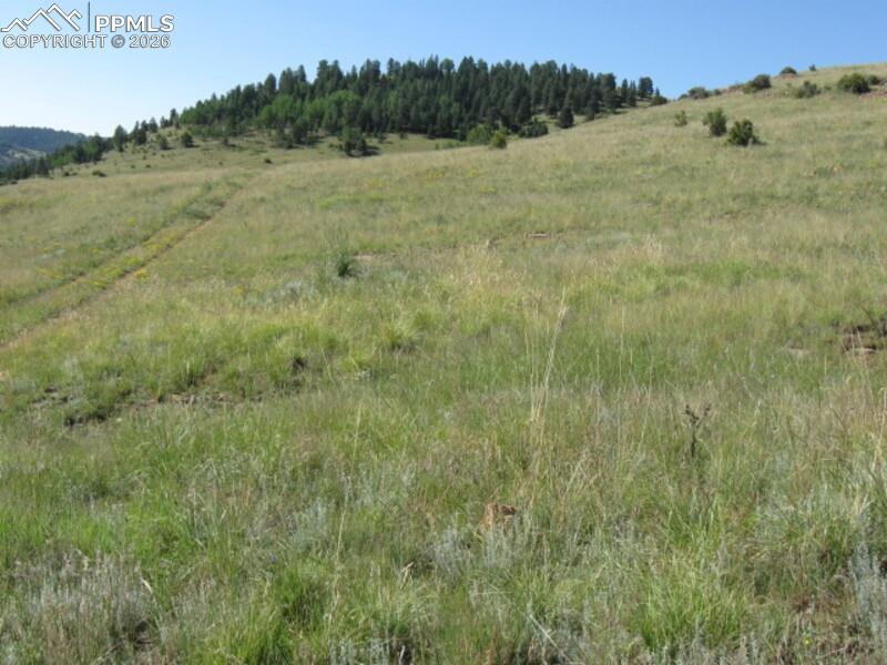 Lot 1-2 Shideler Ave., Cripple Creek, CO 80813
