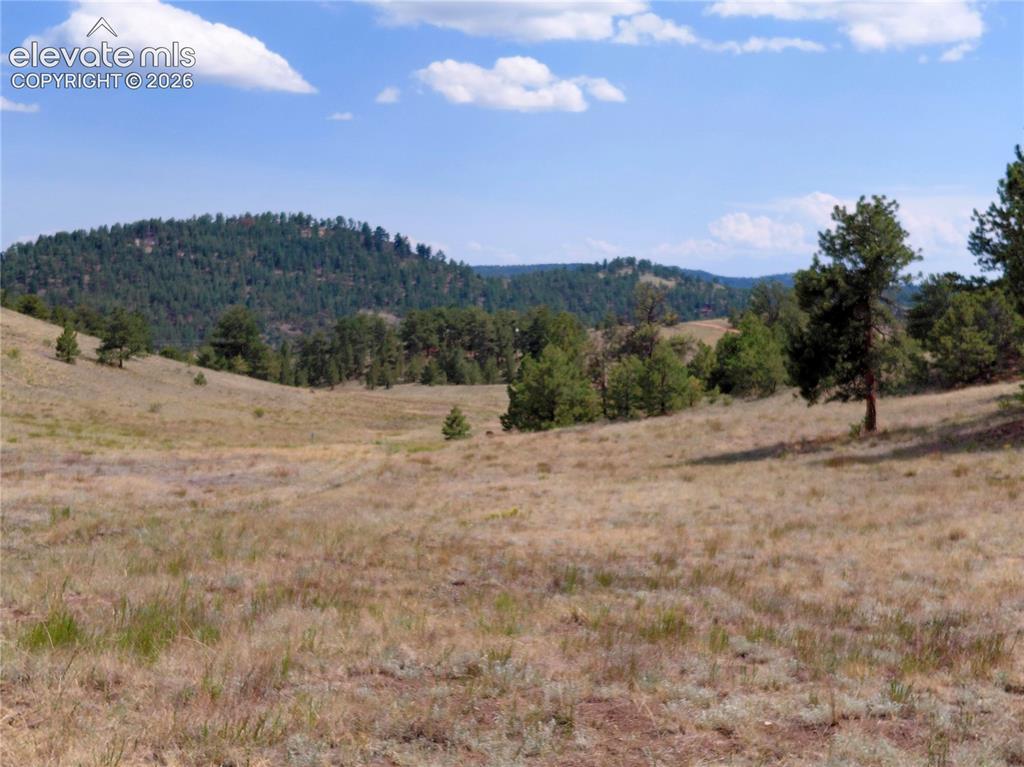 Tract 70 Owls Nest Rd., Guffey, CO 80820
