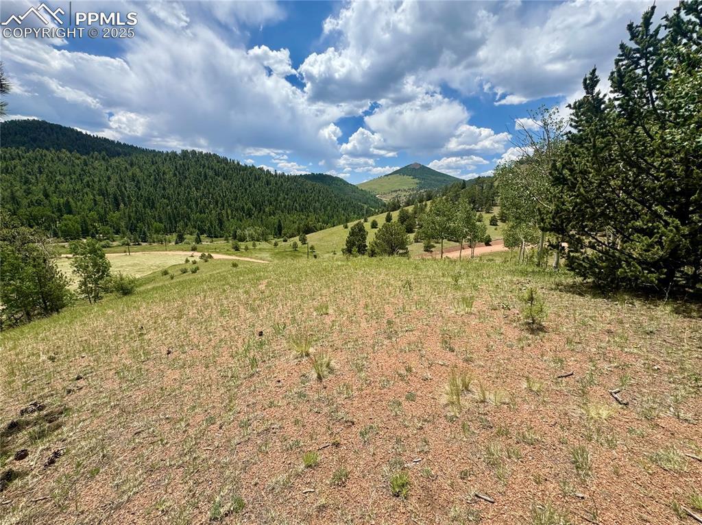 374 Copper Mountain Dr., Cripple Creek, CO 80813