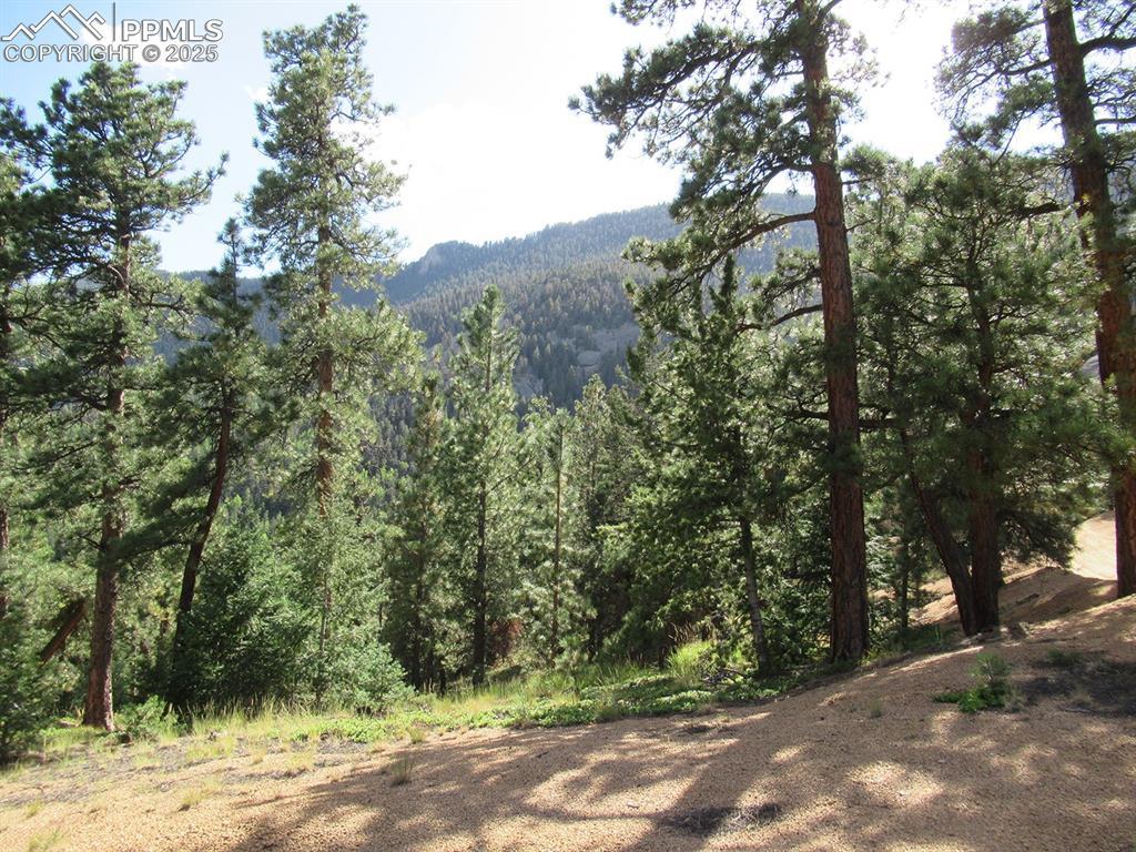 213 Coffee Pot Rd., Manitou Springs, CO 80829