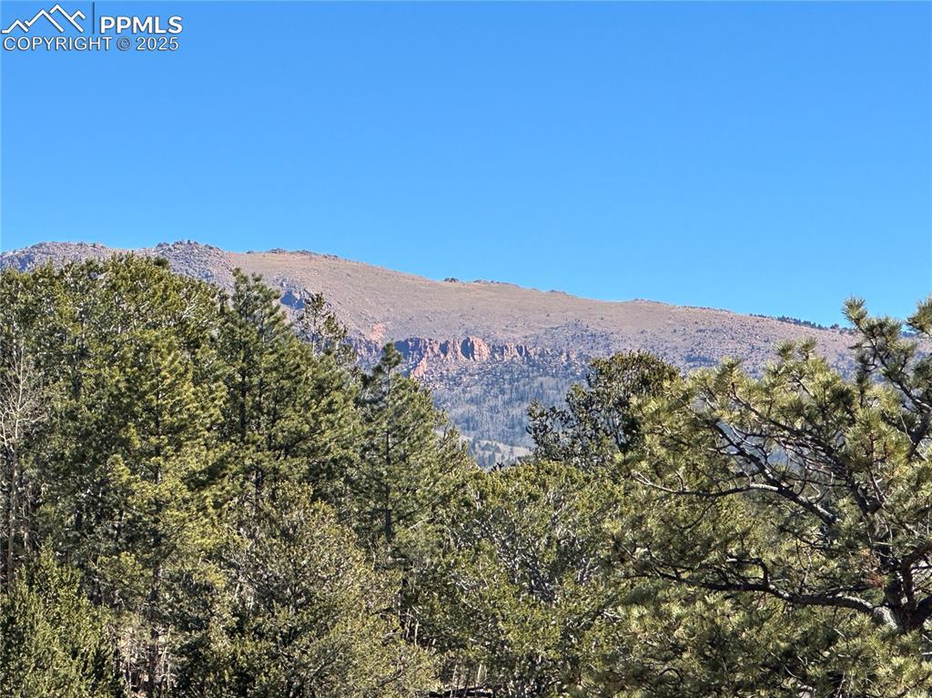 1196 Wellington Dr., Cripple Creek, CO 80813