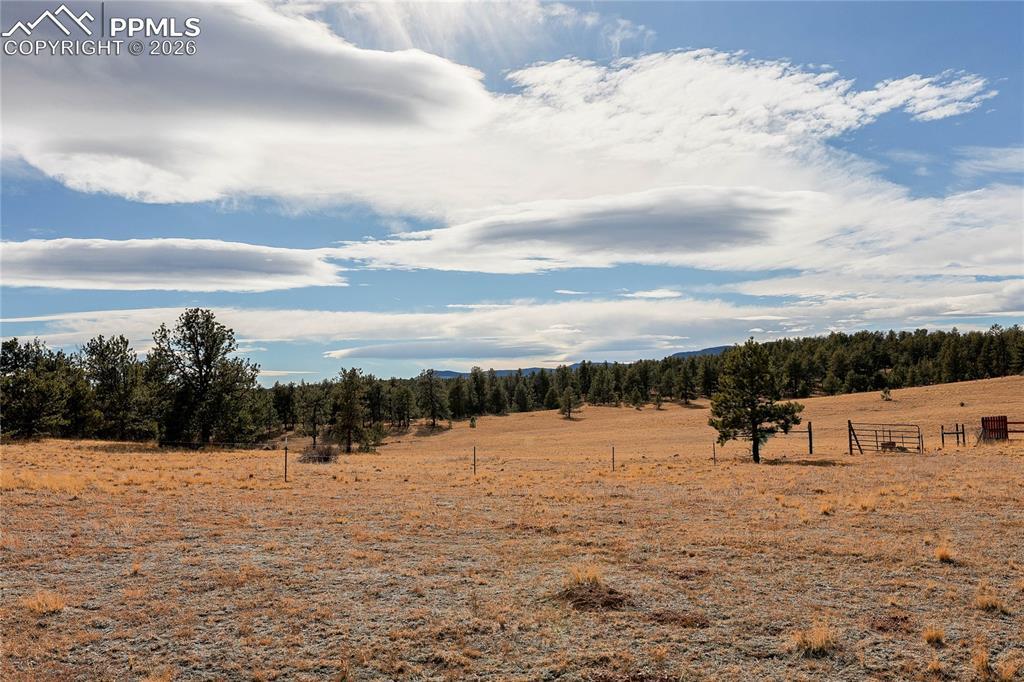 000 Twinkle Rd., Guffey, CO 80820